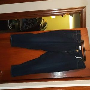 Lane Bryant jeans